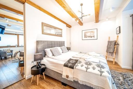 Apartament Kamieniec Zakopane Exteriér fotografie